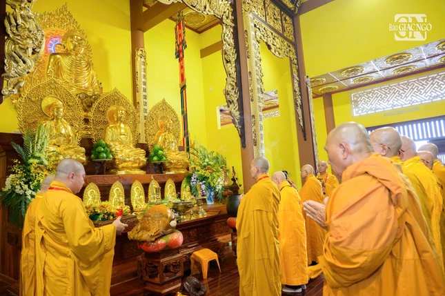 Nt 756 2632 6996.jpg