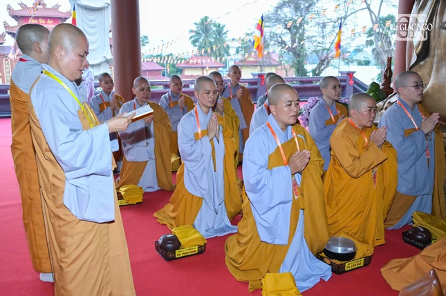 Nt 779 2163 9537.jpg