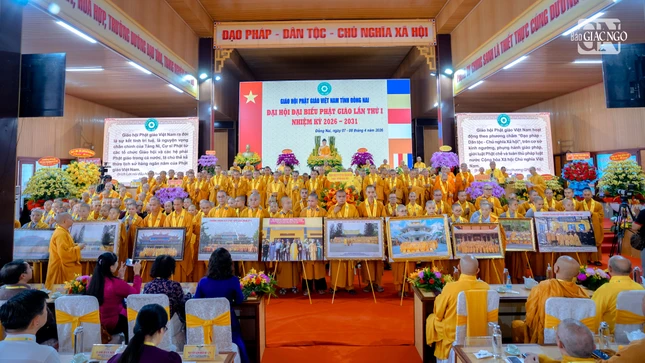 Nt 901 2508 4069.jpg