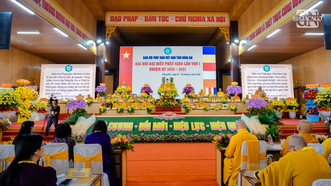 Nt 915 3494 2297.jpg