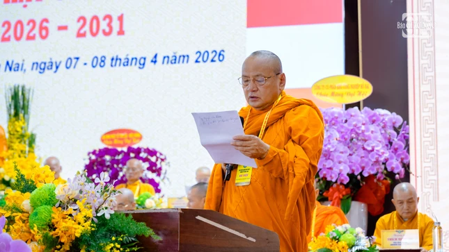 Nt 921 9967 5608.jpg