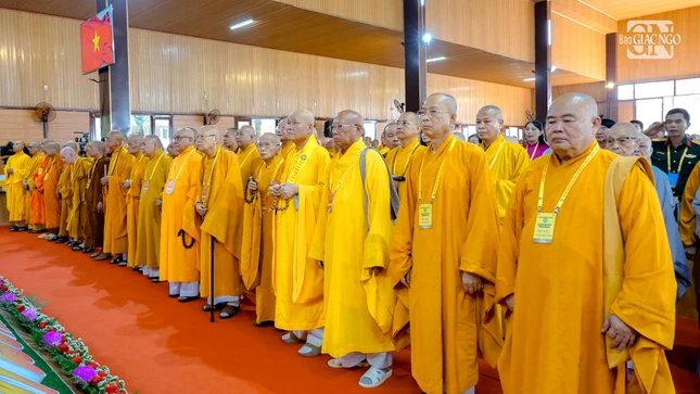 Nt 933 8857 7960.jpg