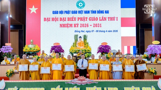 Nt 960 4882 2964.jpg