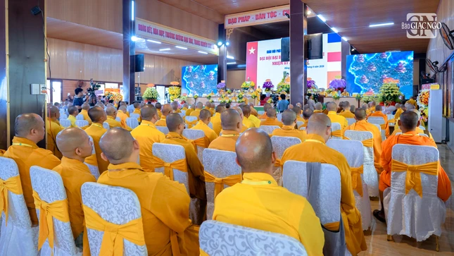 Nt 961 4237 8634.jpg