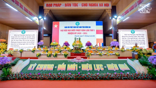 Nt 972 9366 6246.jpg