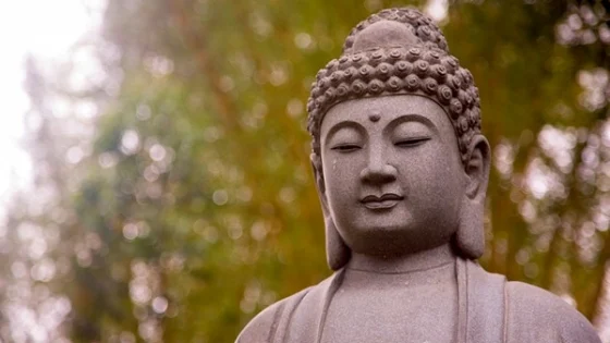 Phatgiao org vn biet vuon len vuot qua so phan1