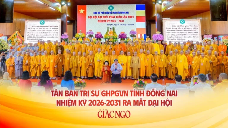 Tan bts tp 664 9150.jpg