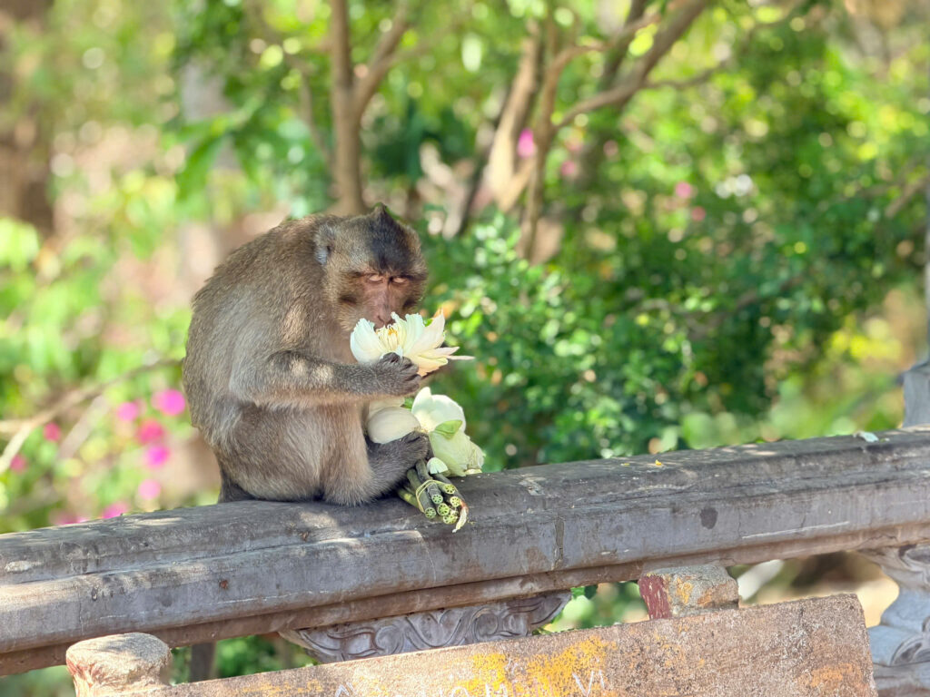 Z7733507992652 88cdd43cdb9b4720e6e697fc9272b3c7