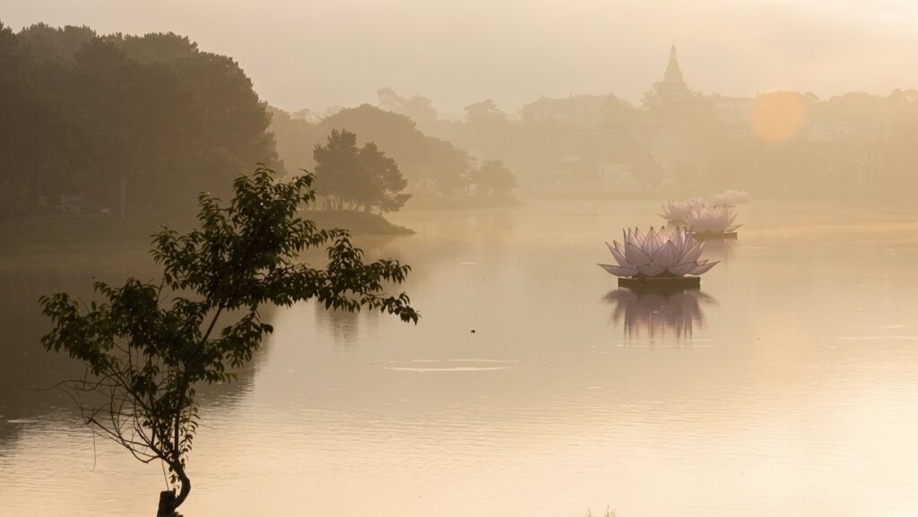 Z7739588636166 6586ffbd54d416bdd69a4add4cf8527b