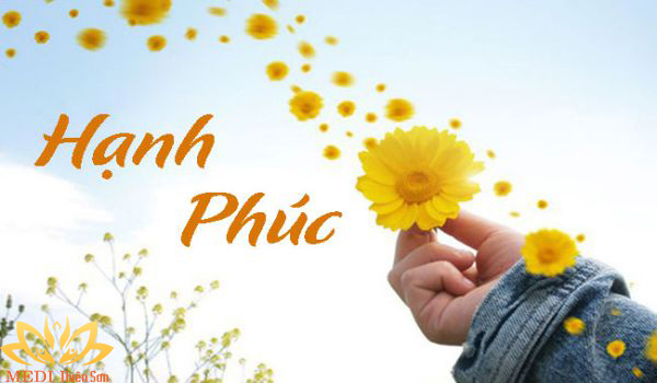 Doan van nghi luan ve hanh phuc lop 12 hay nhat mau 13