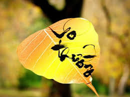 Images