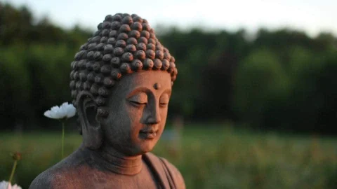 Kinhtamhoangvu