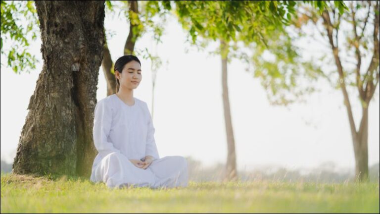 Ngoi thien co tac dung gi 16 tac dung cua ngoi thien voi suc khoe