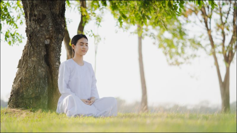 Ngoi thien co tac dung gi 16 tac dung cua ngoi thien voi suc khoe