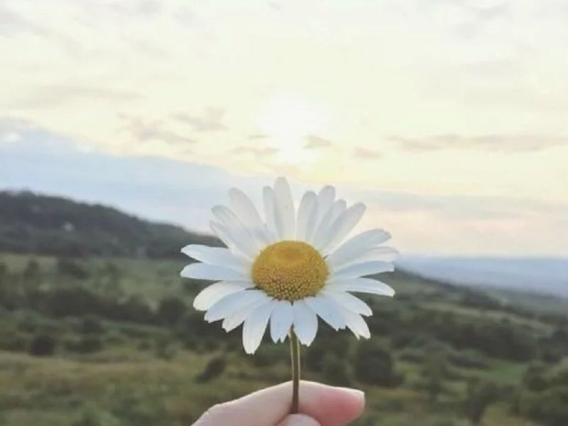 Noi buon hoa chan may