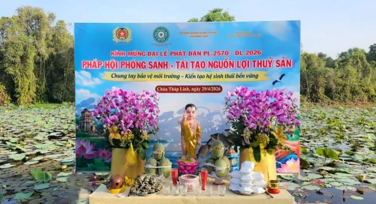 Phong sanh go thap 29042026 1 1028 7840.jpg