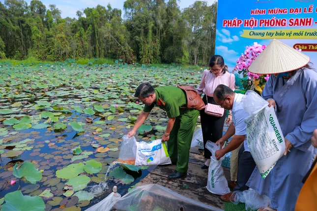 Phong sanh go thap 29042026 33 9257 7106.jpg