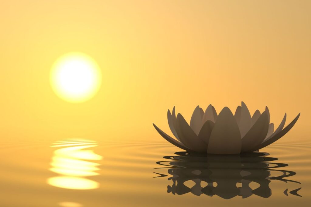 5c884b09806ac lotus