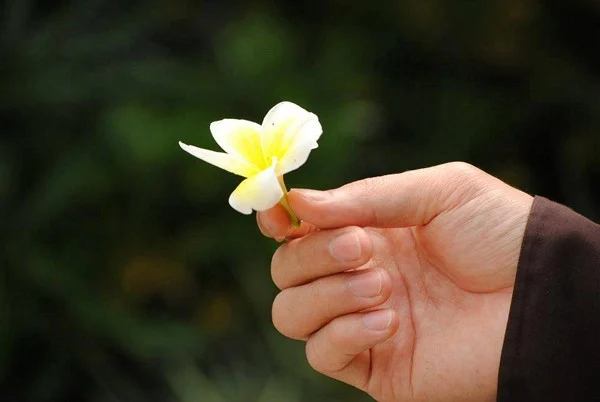 Phatgiao org vn Tuong tu thay1