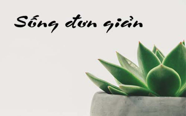 SongDonGian01 600x375