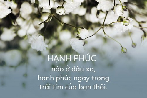 Nhung cau noi hay ve cuoc song binh yen 2 1300