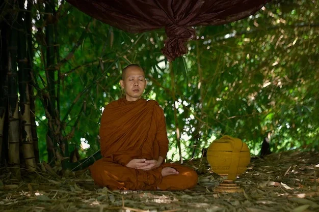 Nphatgiaoorgvn