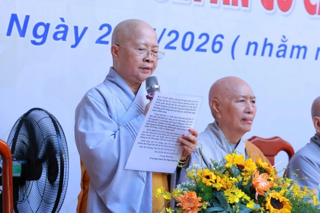 16073079 faf5 428c 9ab3 fb945839439f crop 6738.jpeg