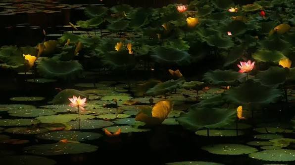 Images (3)