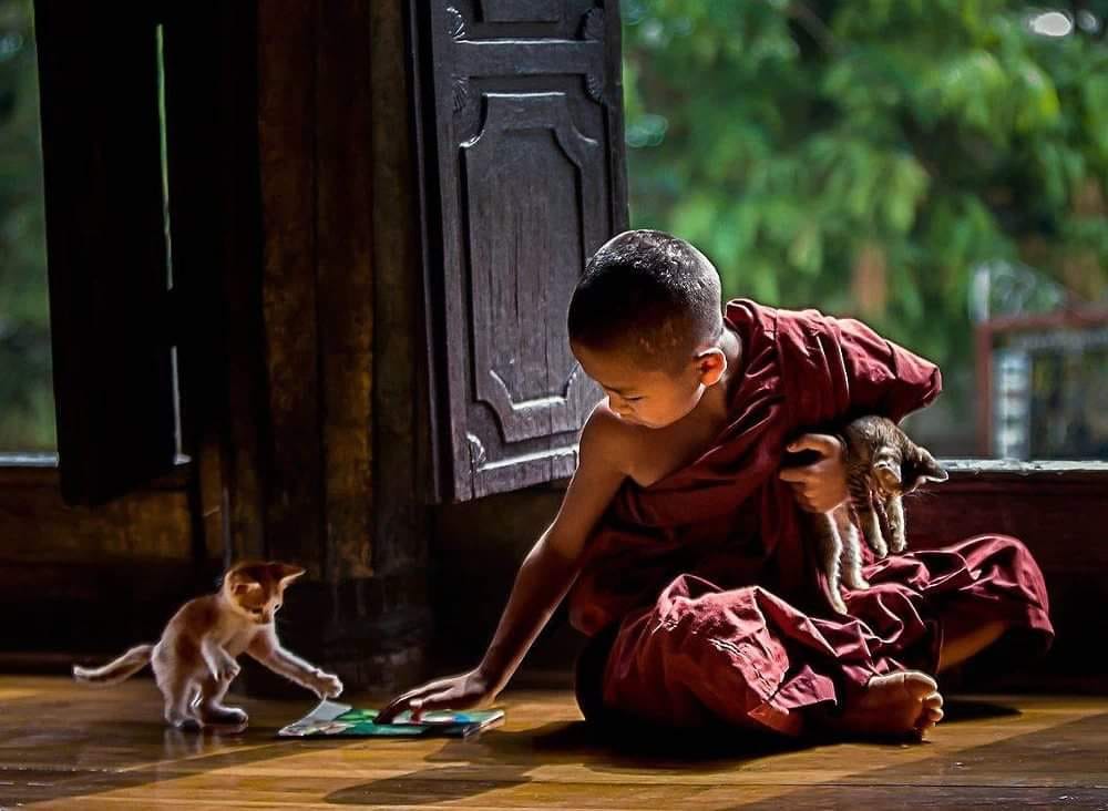 Tam phan biet