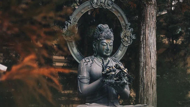 Tham san si