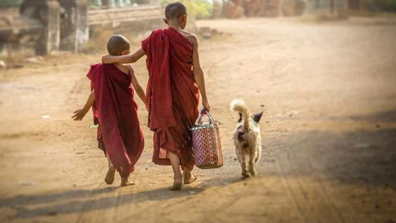 Tam ai luyen va tam tu bi hai con duong dan den hai ket cuc khac nhau