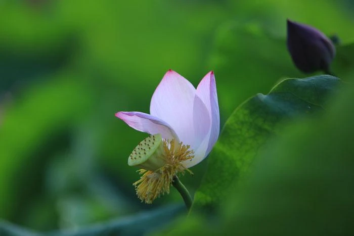 1431937388 mjtnanh 17 zovm 9985.jpg