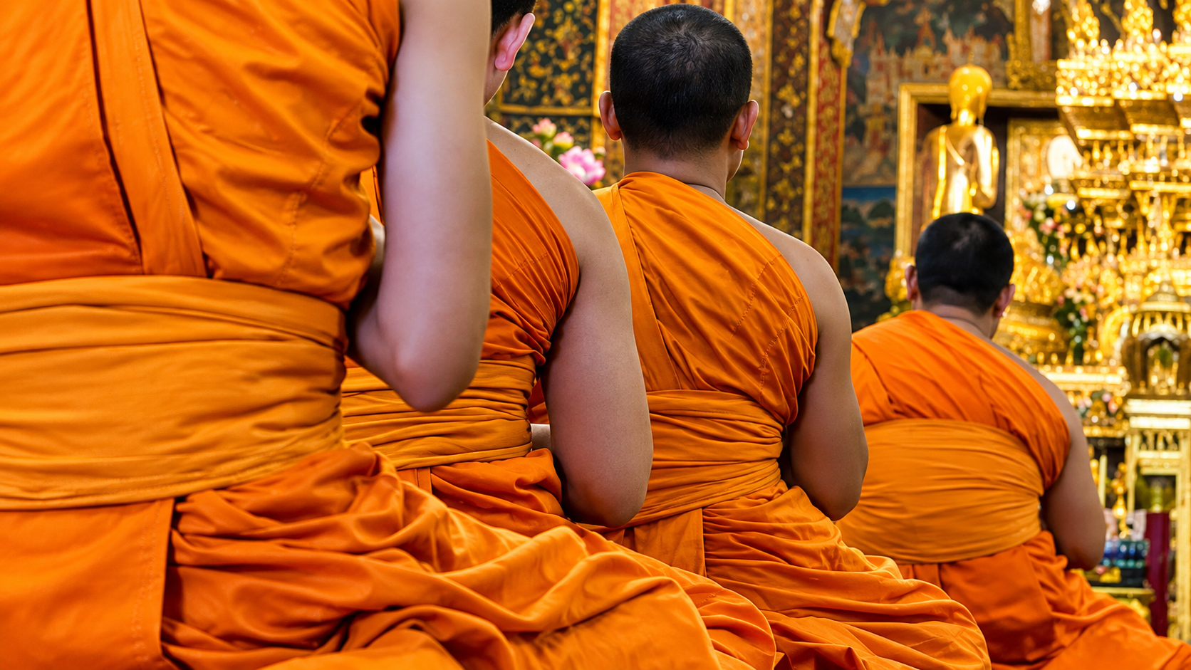 7c8cccef 0bb8 47dc bd6f 968a83b023d7