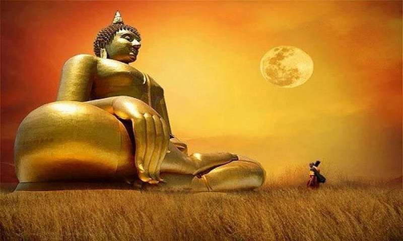 Chuyen nghiep phatgiaoorgvn 3 0839jpg