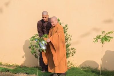 Vai trò của Phật giáo trong hoạt động bảo vệ môi trường