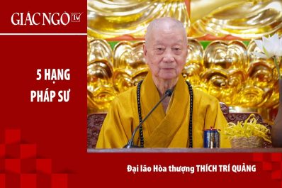 Đại lão Hoà thượng Thích Trí Quảng chia sẻ thêm về ý nghĩa ‘Nhập pháp giới’