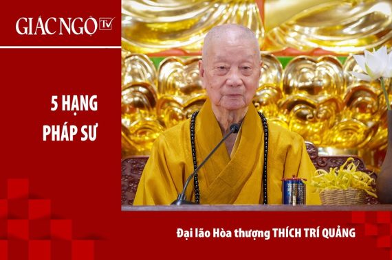Đại lão Hoà thượng Thích Trí Quảng chia sẻ thêm về ý nghĩa 'Nhập pháp giới'