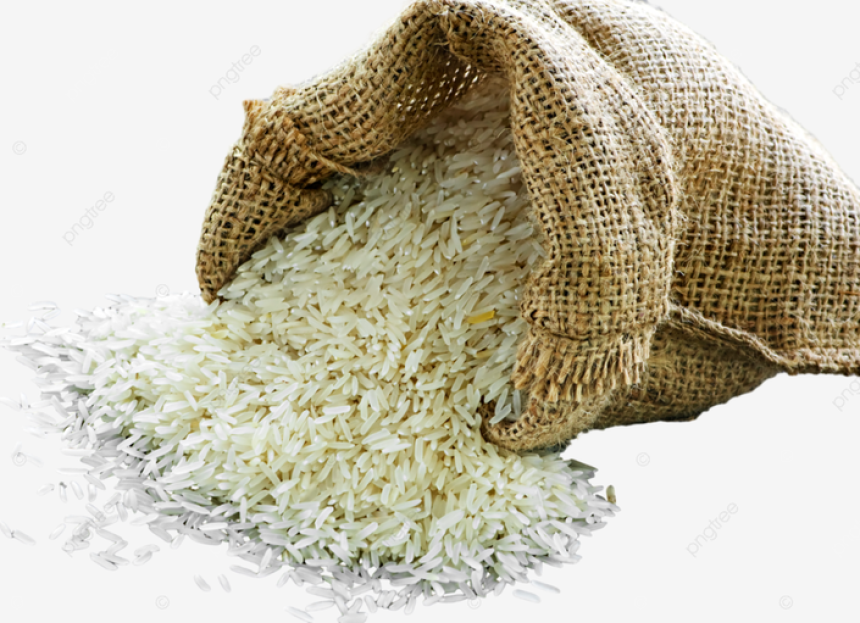 Không hoang phí một hạt gạo