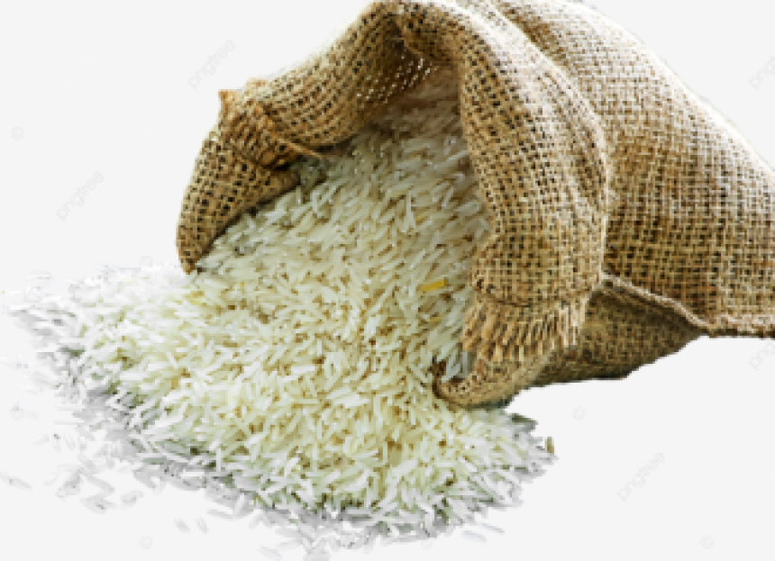 Không hoang phí một hạt gạo