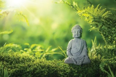 Ứng dụng lời dạy Đức Phật trong bảo vệ môi trường