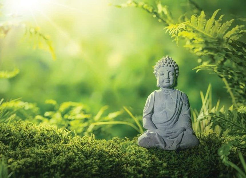 Ứng dụng lời dạy Đức Phật trong bảo vệ môi trường
